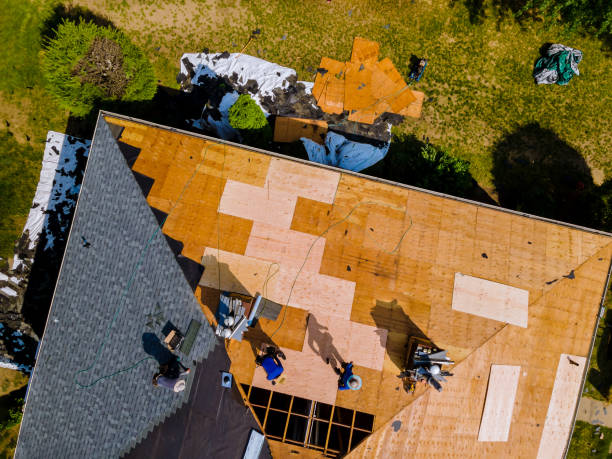 Quick and Trustworthy Emergency Roof Repair Services in Peach Springs, AZ