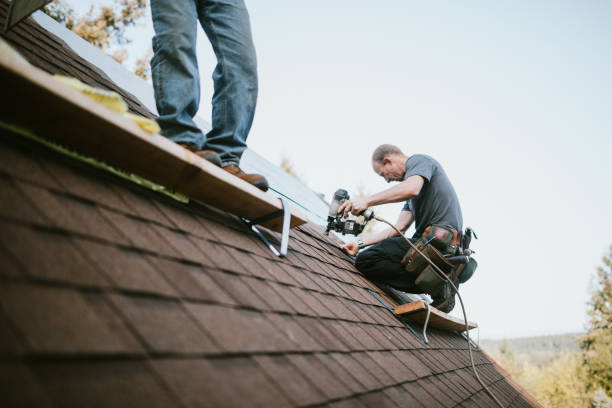 Quick and Trustworthy Emergency Roof Repair Services in Peach Springs, AZ